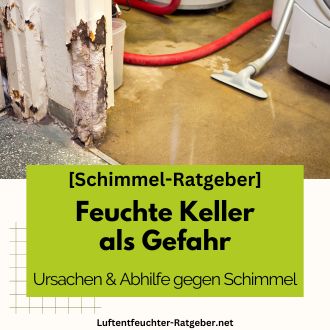 Feuchte Keller als Gefahr - Ursachen und Abhilfe gegen Schimmel