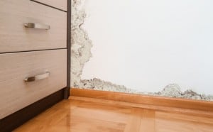 Mold and moisture buildup on wall of a modern house