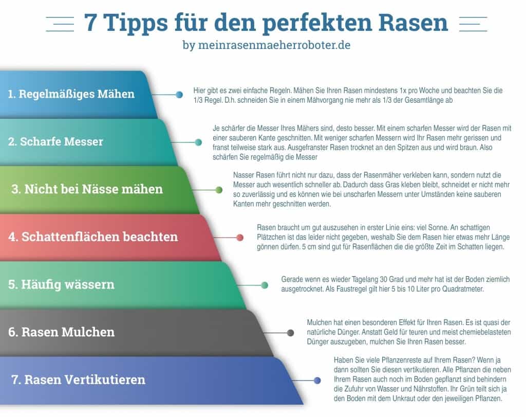 7_tipps rasen