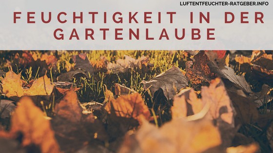 Abhilfe gegen Feuchtigkeit in der Gartenlaube