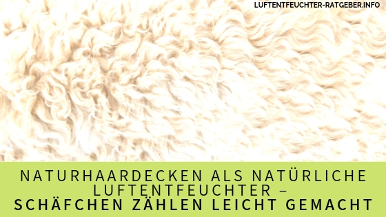 Naturhaardecken als natürliche Luftentfeuchter – Schäfchen zählen leicht gemacht