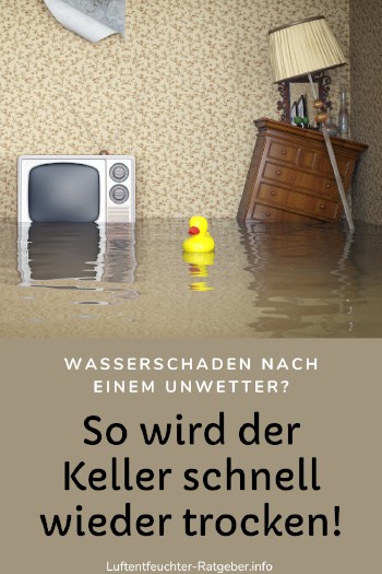 Einen nassen Keller nach Unwettern wieder trocken bekommen