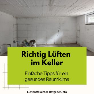 Richtig Lüften im Keller - Einfache Tipps für ein gesundes Raumklima