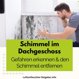 Schimmel im Dachgeschoss - Gefahren erkennen und Schimmel entfernen