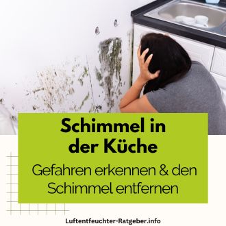 Schimmel in der Küche - Gefahren erkennen und Schimmel entfernen